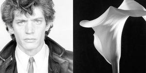 Stephen Bayley 'Robert Mapplethorpe: bad boy with a camera' featured image